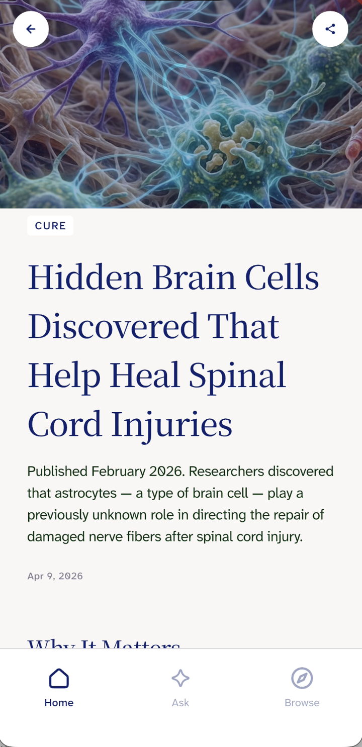 An article detail screen