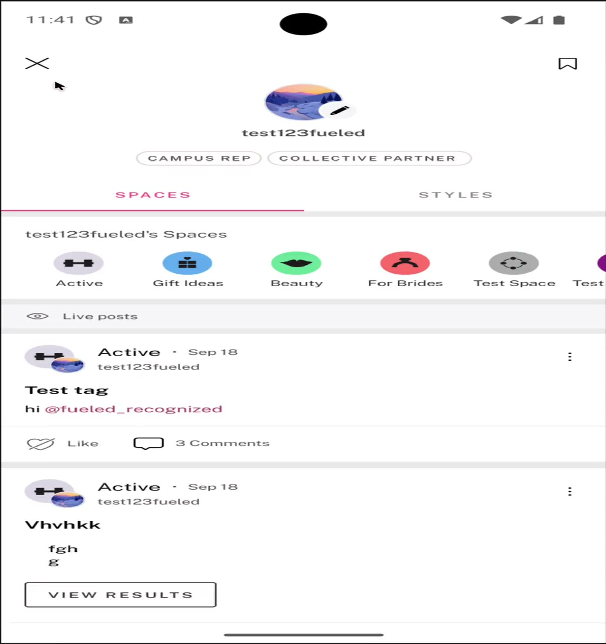 The Styles feed grid and the filter sheet